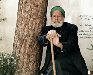 سید حسین میریان.jpg