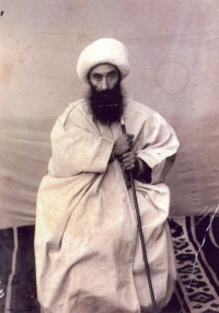 Nayyer tabrizi.jpg